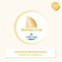 Trophée d'or - Formation professionnelle - PREZIOSO Linjebygg